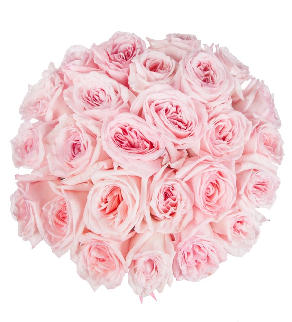 Букет-соло ароматных роз Pink OHara (15,25,35,51,75 или 101) – фото № 3
