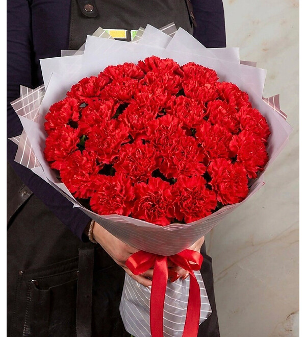 Solo Bouquet of Red Carnations – photo #1