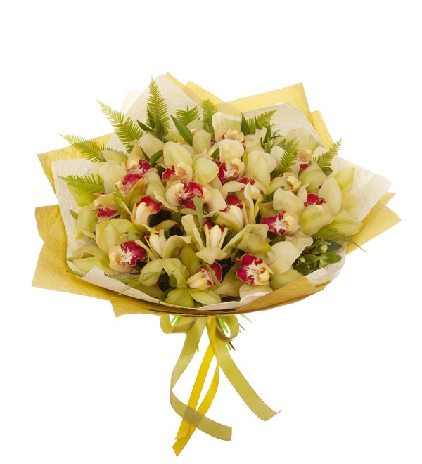 Букет-соло зелёных орхидей (15,25,35,51,75 или 101) – фото № 2