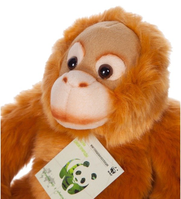 Мягкая игрушка Орангутан WWF (23 см) – фото № 2