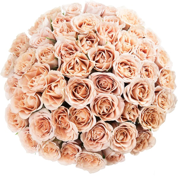 Букет-соло роз Cappucino (15,25,51,75 или 101) – фото № 4