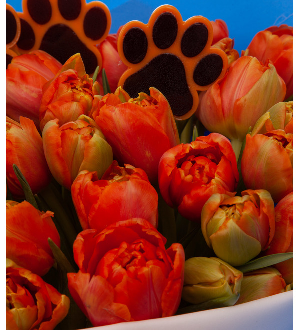 Букет-соло тюльпанов Лапки (15,25,35,51,75 или 101) – фото № 3