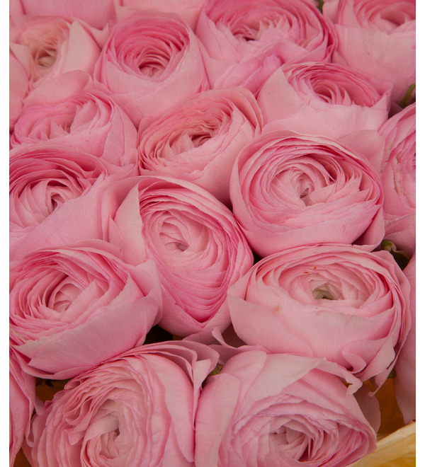Bouquet-solo pink ranunculus (15,25,35,51,75 or 101) – photo #3