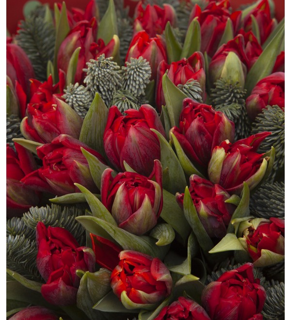 Букет-соло пионовидных тюльпанов Robinho (15,25,35,51,75,101 или 151) – фото № 3