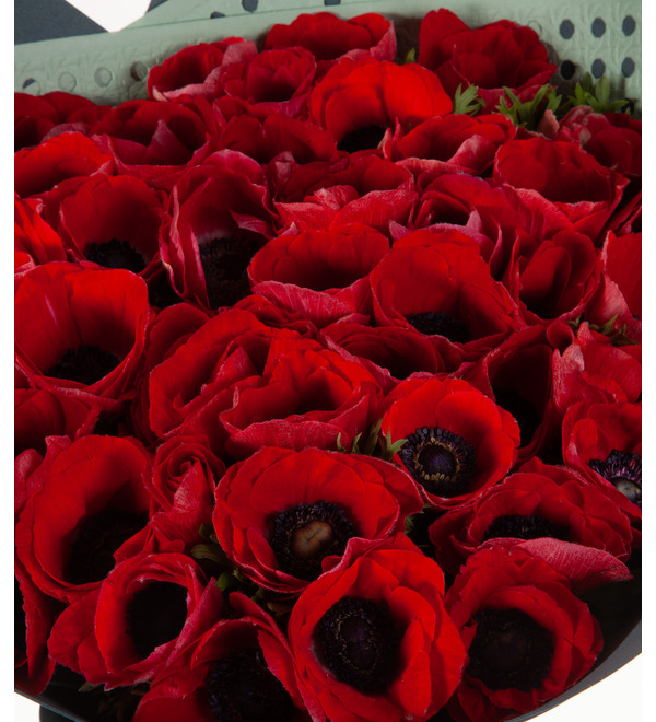 Bouquet-solo Red anemones (15,25,35,51,75 or 101) – photo #3