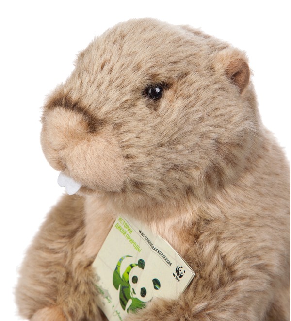 Soft toy Groundhog WWF (23 cm) – photo #3
