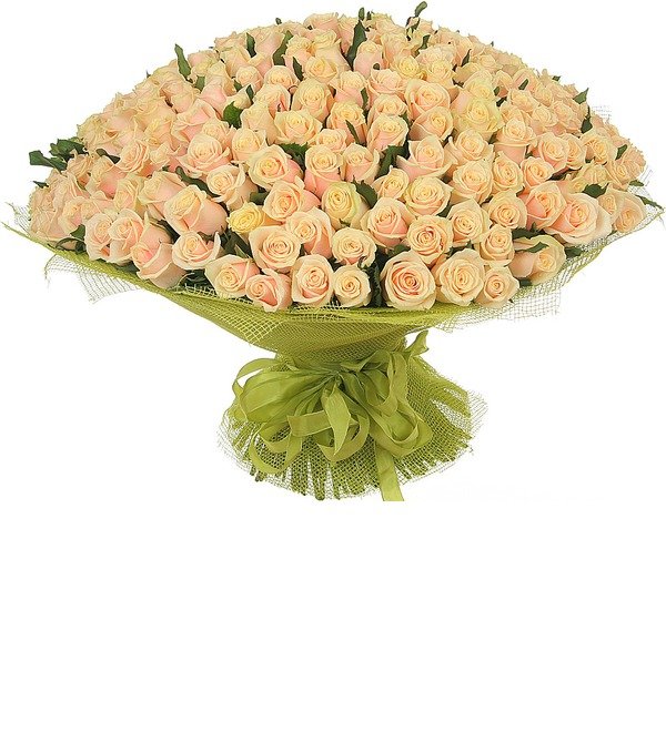 Букет из 251 кремовой розы Совершенство – фото № 4