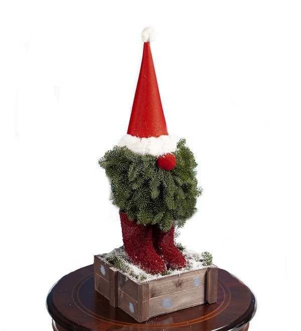 Composition Christmas Gnome – photo #4