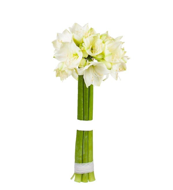 Bouquet of white Amaryllis Mont Blanc (5, 7 or 9) – photo #5