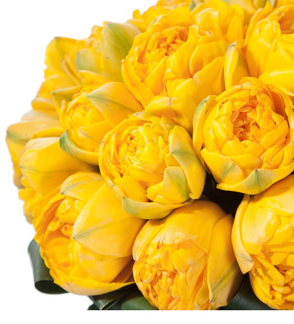 Букет-соло из тюльпанов Yellow Pompenette (15,25,35,51,75 или 101) – фото № 5