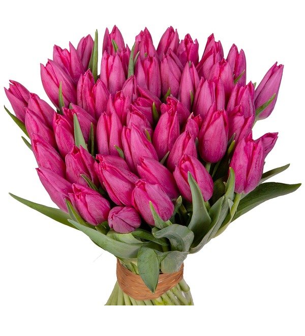 Букет из розовых тюльпанов (25 или 51) SKF26 WIL – фото № 1
