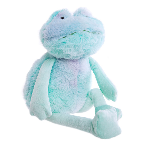 Soft toy Billy the Frog (40 cm) – photo #1