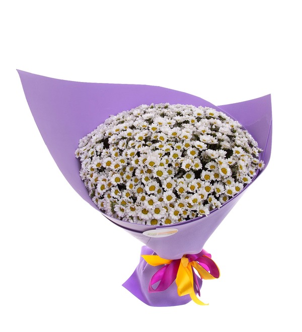 Bouquet-solo of white Santini chrysanthemums (15,25,35,51,75 or 101) – photo #2