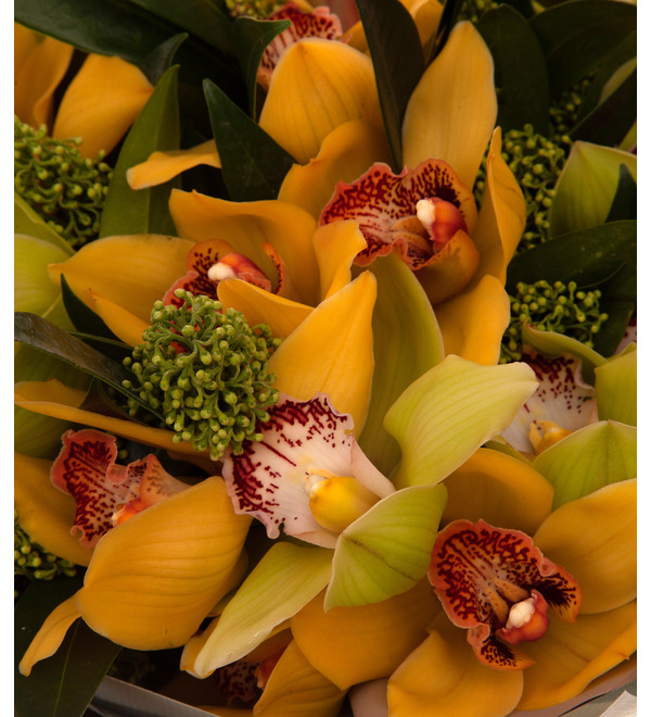 Букет-дуэт Орхидеи (15,25,35,51,75,101 или 151) – фото № 3