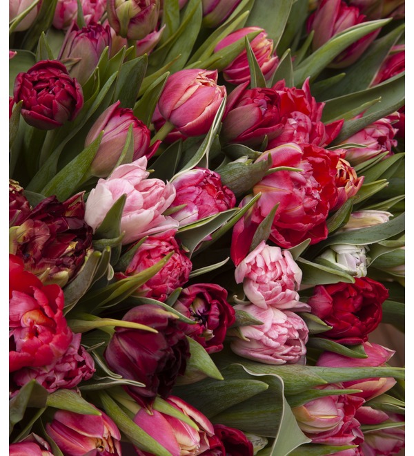 Composition of 1001 tulips Vivo of love – photo #3