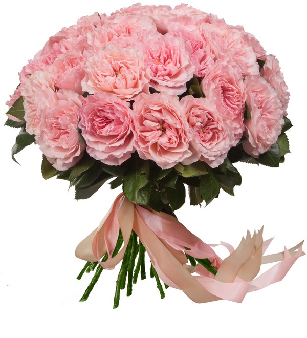Букет-соло из пионовидных роз Mayras Rose (15,25,35,51,75 или 101) – фото № 2