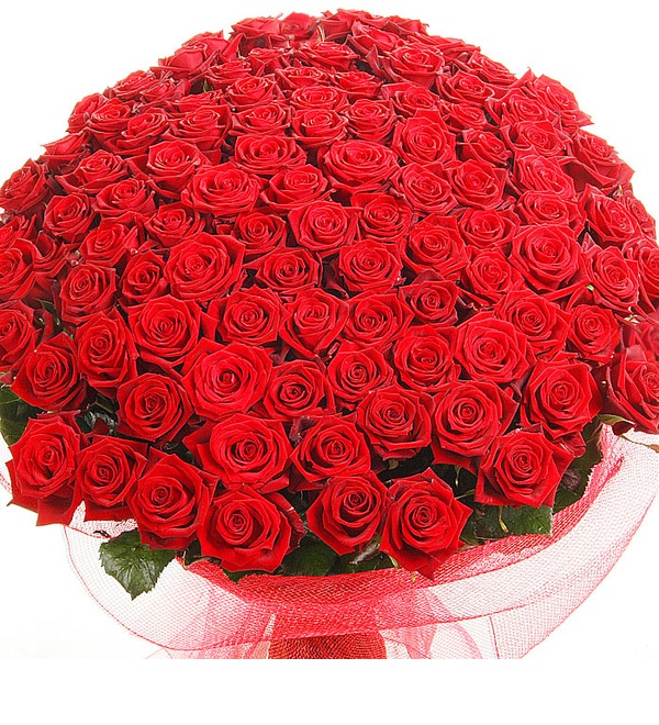 Букет из 101 красной розы Песня о счастье BR110 SAI – фото № 1