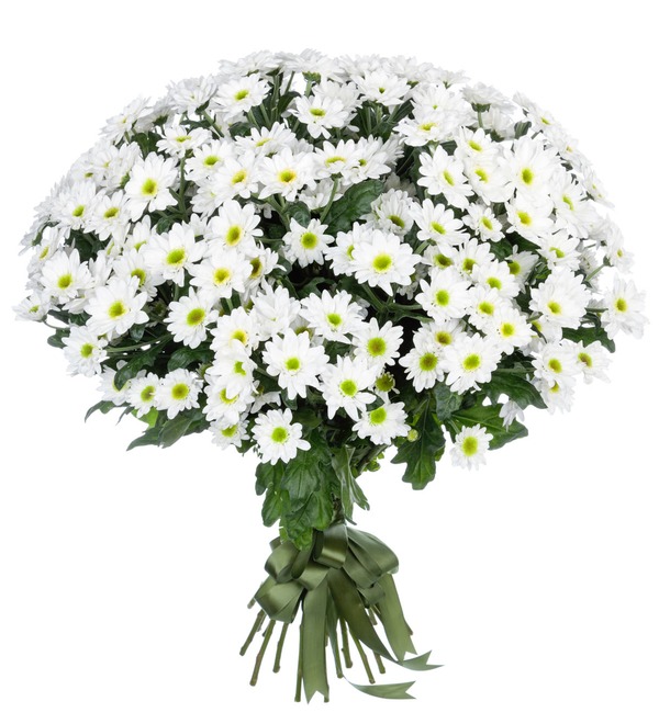 Букет-соло Белые хризантемы (15,25,51 или 101) MN203 SAN – фото № 1