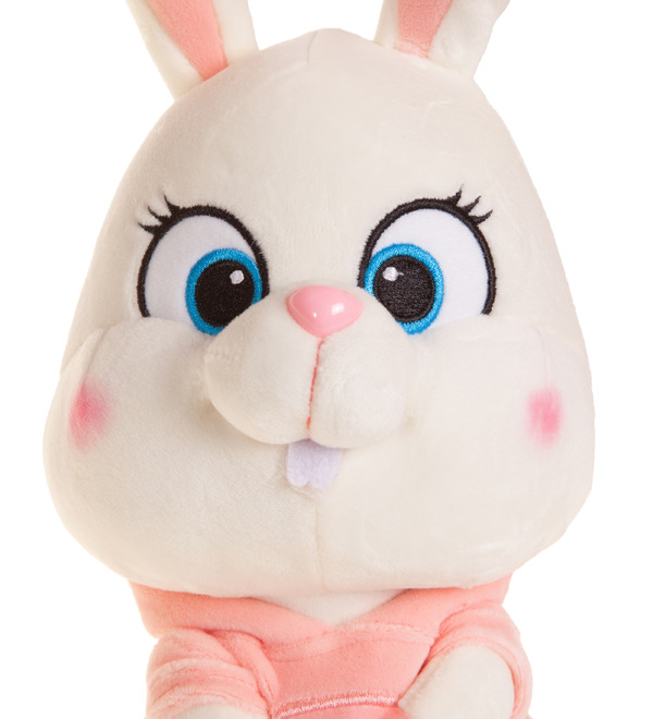 Soft toy Bunny in a pink blouse (22 cm) – photo #2