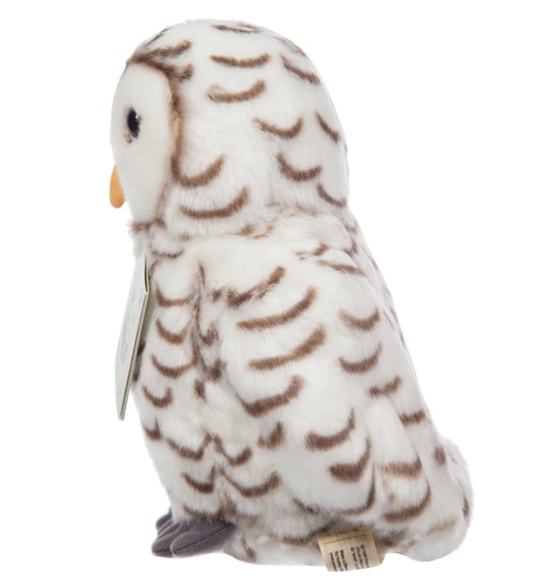 Мягкая игрушка Полярная сова WWF (22 см) – фото № 3