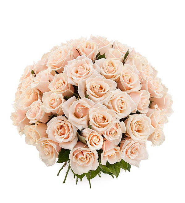 Букет из кремовой розы Гармония в любви (25, 51 или 101) BR102 PAL – фото № 1