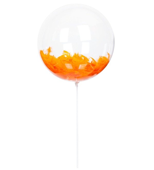 Exclusive balloon with feathers – photo #2