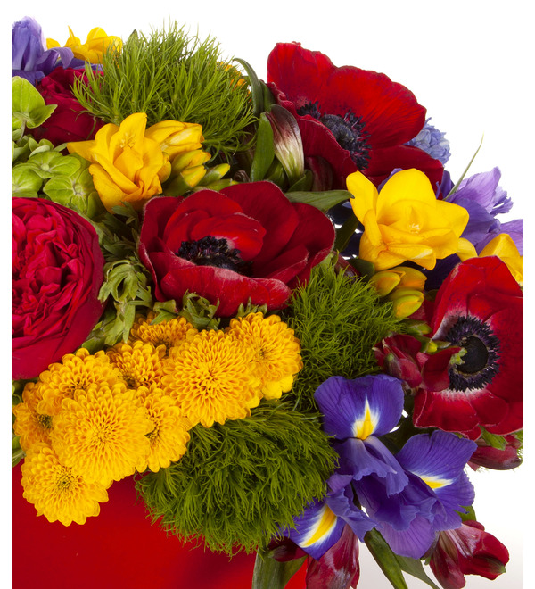 Композиция Яркие тона – фото № 2