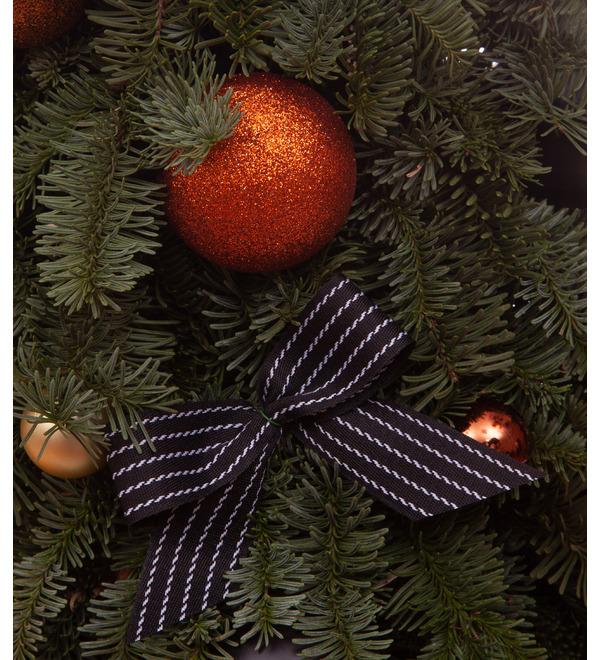 Christmas tree Coniferous aroma (35,50,80,110,150 or 200 cm) – photo #3