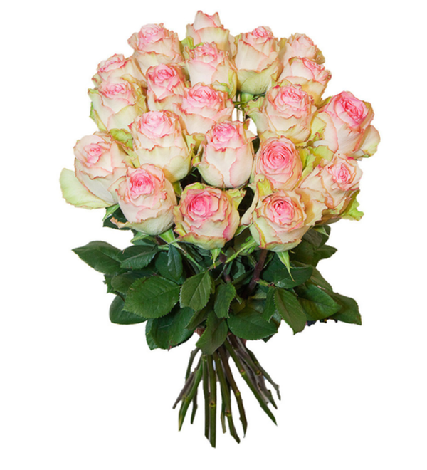 Букет Esperance из белых роз, 50 см 11/15/21 роз FR4 LEN – фото № 1