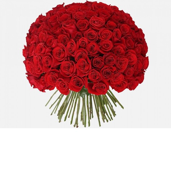 Букет из 101 красной розы 80 см KZRK101 ST- – фото № 1
