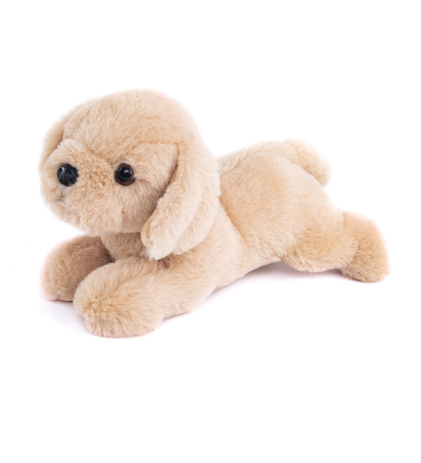 Soft toy Dog Beige (28 cm) – photo #3