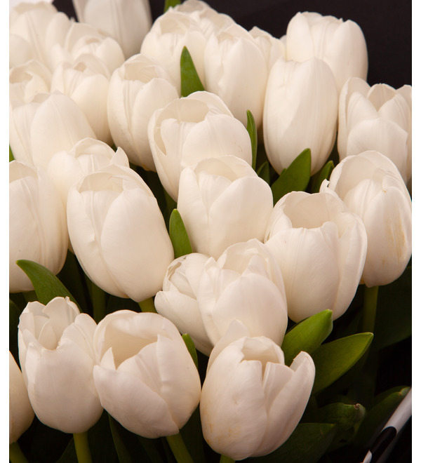 Букет-соло тюльпанов Hakuun (15,25,35,51,75 или 101) – фото № 3