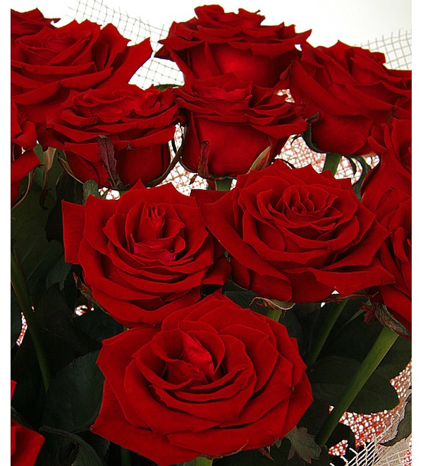 Букет из 15 роз Любовь без границ GR R15R ARG – фото № 4