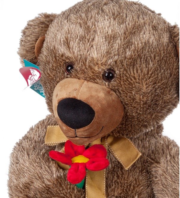Soft toy Bear with a flower (70 cm) – photo #2