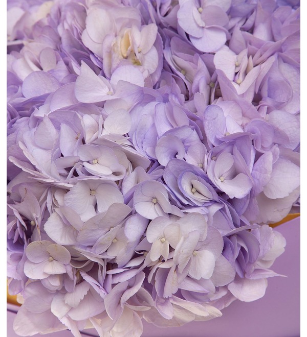 Bouquet-solo of lilac hydrangeas (5,7,9,15,25 or 35) – photo #3