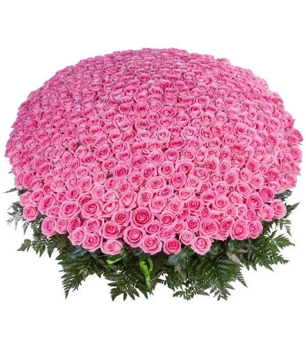 Композиция из 501 розовой розы Самой любимой AR639 RUM – фото № 1