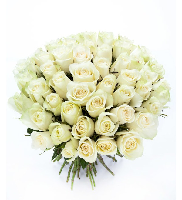 Букет из 51 белой розы (50см) Светлое чувство BR154 SAN – фото № 1