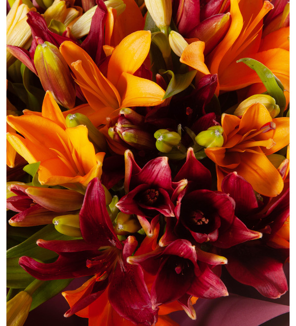 Bouquet-duet of Asian lilies (5,7,9,15,25,35 or 51) – photo #2