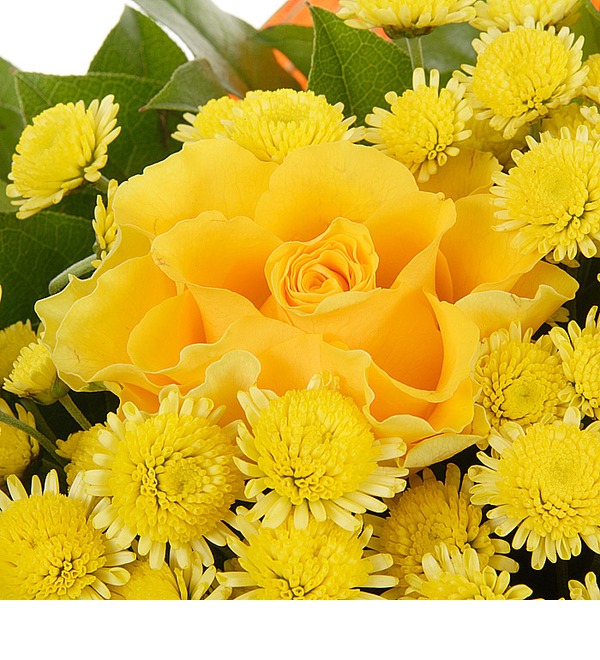 Букет цветов Любимому Солнцу LV BC231 OGR – фото № 4