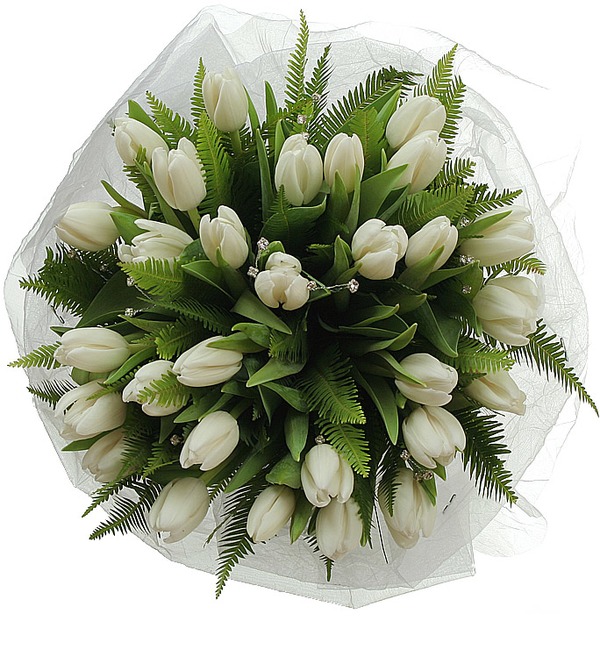 Букет из белых тюльпанов Снежное лето UA Wn2060 NOV – фото № 4