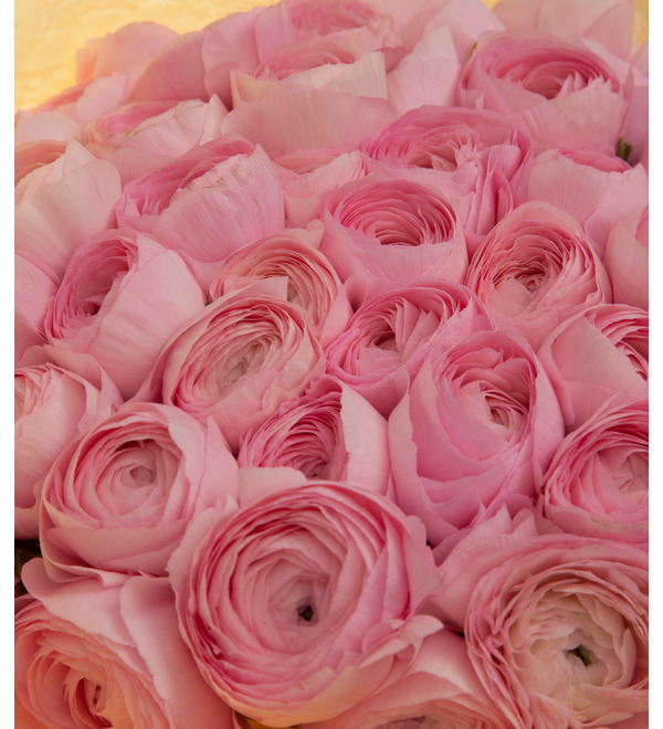 Bouquet-solo pink ranunculus (15,25,35,51,75 or 101) – photo #2