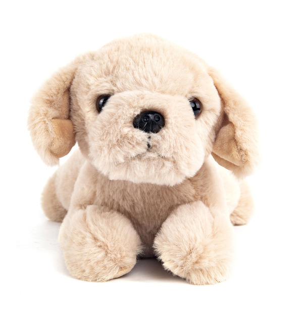 Soft toy Dog Beige (28 cm) – photo #1
