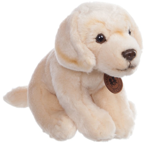 Soft toy Dog Labrador (20 cm) – photo #1