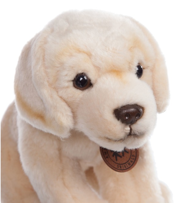 Soft toy Dog Labrador (20 cm) – photo #2