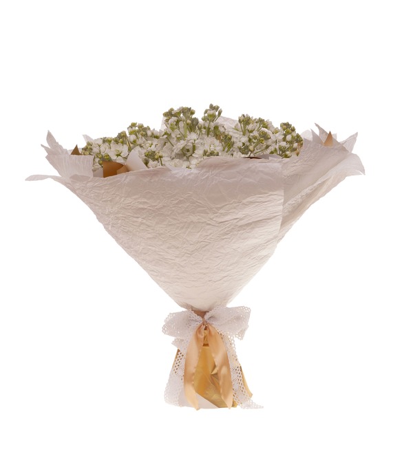 Bouquet-solo of white matthiola (9,15,25,35,51 or 75) – photo #4