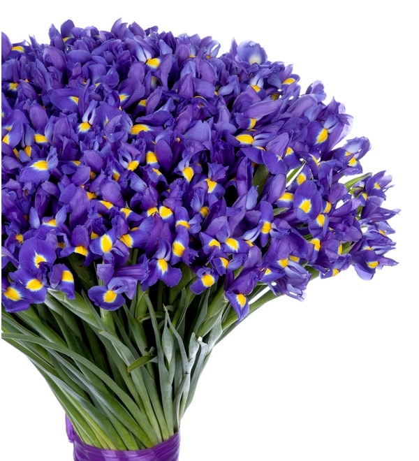 Bouquet-solo Blue irises (51,75,101 or 151) – photo #3
