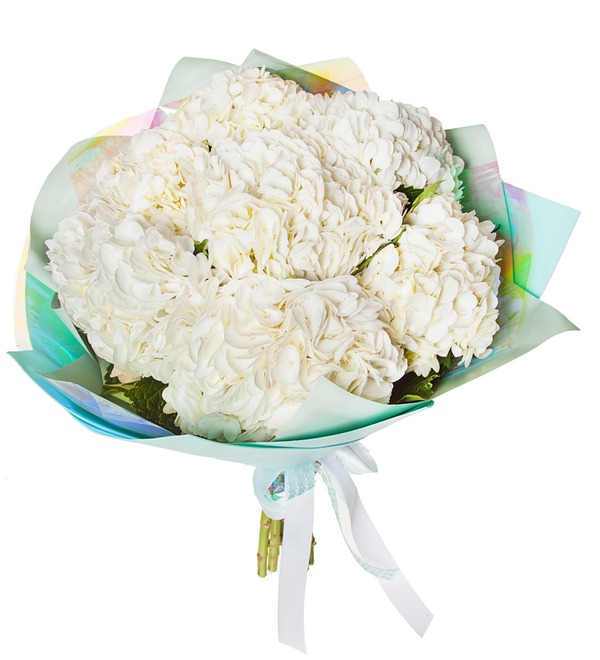 Bouquet of white hydrangea (5, 7 or 9) – photo #5