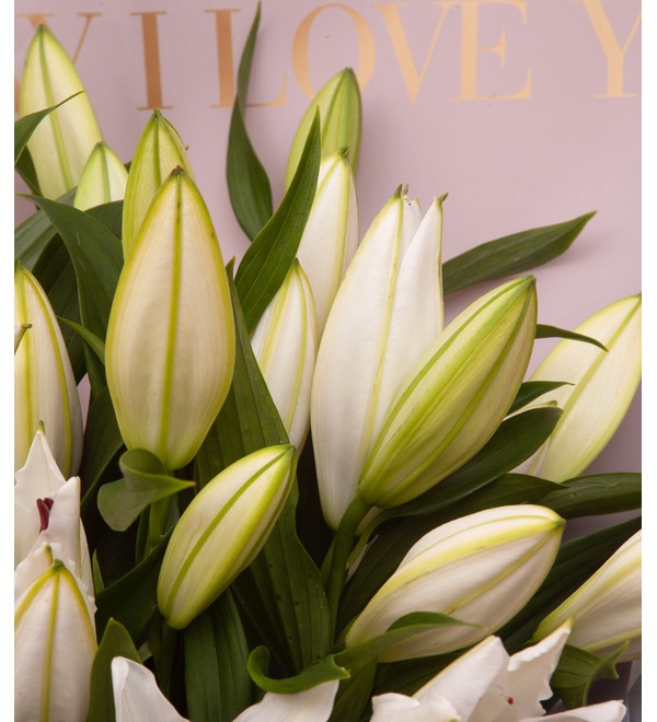 Bouquet-solo of white lilies (5,7,9,15,25 or 35) – photo #3