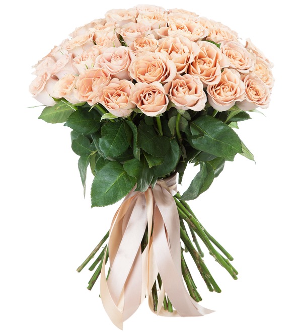 Букет-соло роз Cappucino (15,25,51,75 или 101) – фото № 2