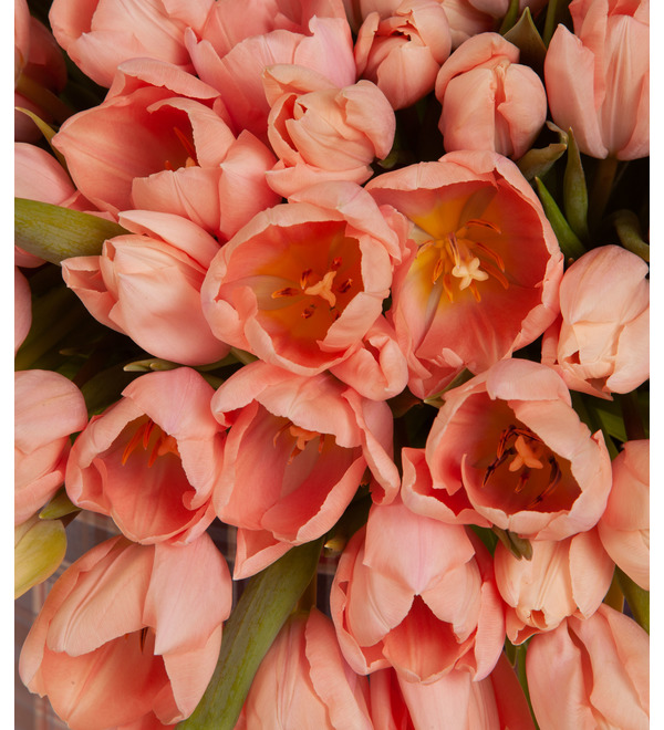 Composition of 201 tulips Gentle touch – photo #3